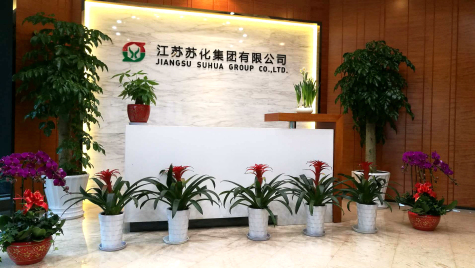 挂灯笼，贴春联  威廉体育科技园内年味浓