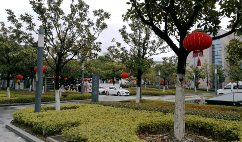 挂灯笼，贴春联  威廉体育科技园内年味浓