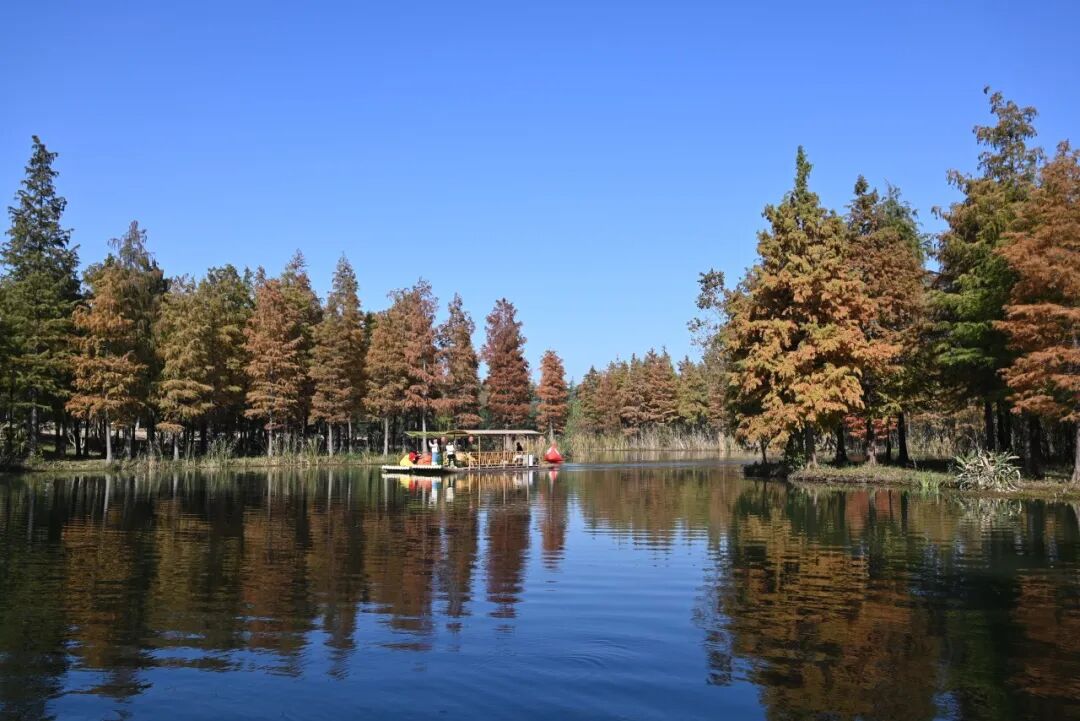 1767493608629735.jpg 640 (1).jpg