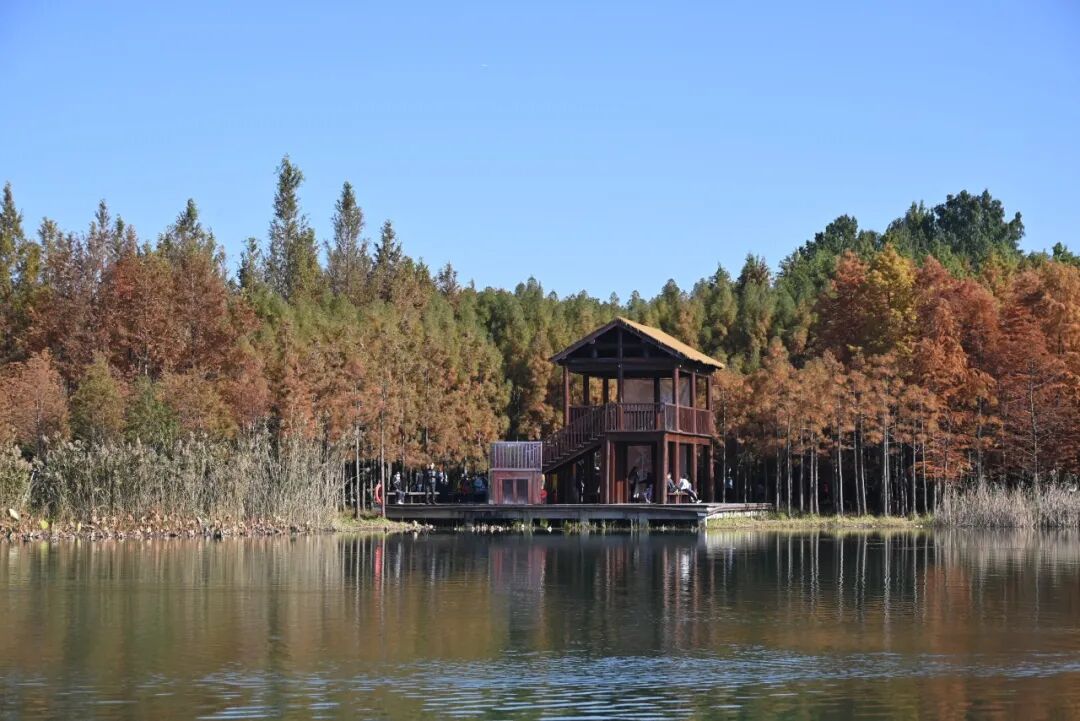 1767493647244159.jpg 640 (5).jpg