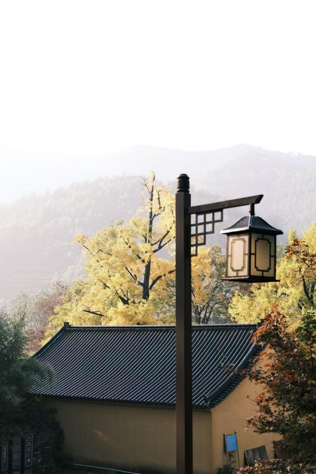 1767494605210165.png 640 (2).png