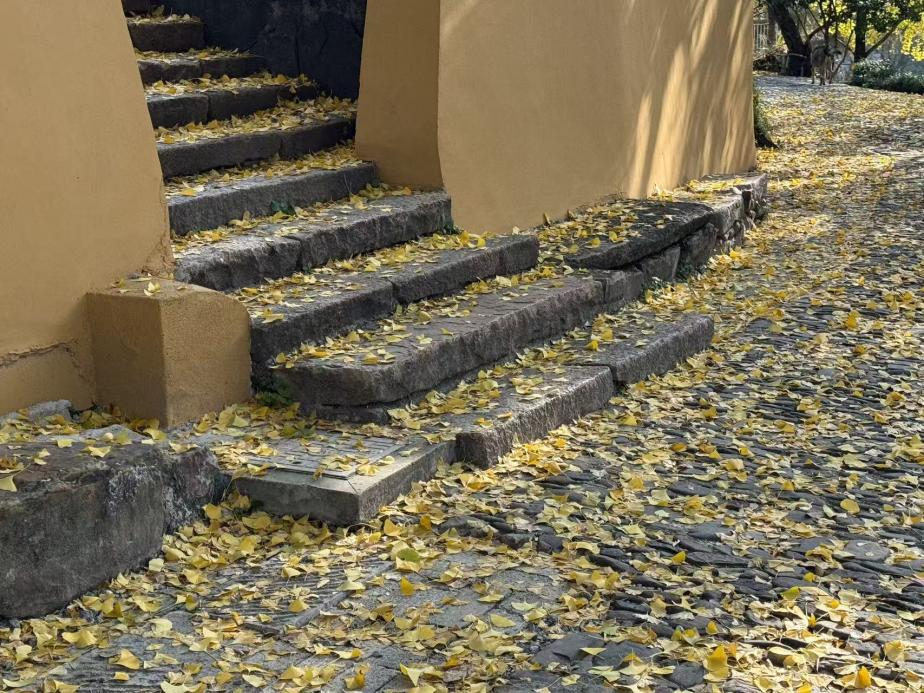 1767494630595953.png 640.png